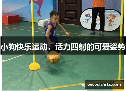 小狗快乐运动，活力四射的可爱姿势