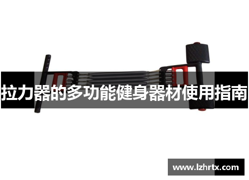 拉力器的多功能健身器材使用指南