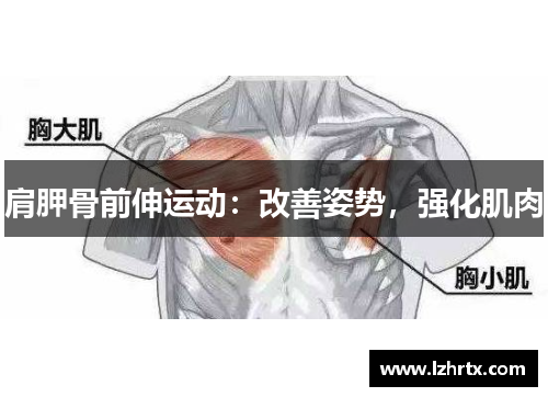 肩胛骨前伸运动：改善姿势，强化肌肉