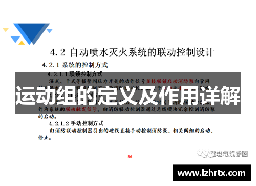 运动组的定义及作用详解
