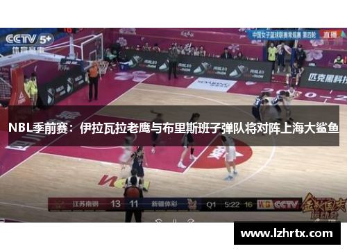 NBL季前赛：伊拉瓦拉老鹰与布里斯班子弹队将对阵上海大鲨鱼